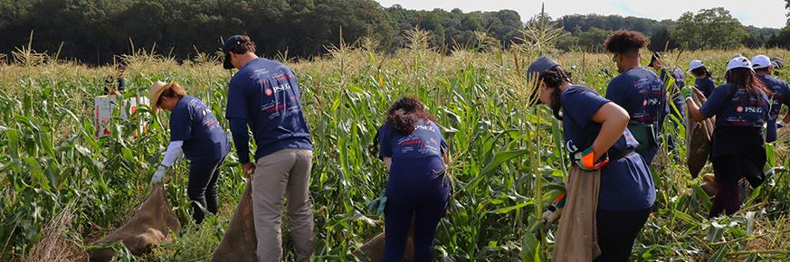 At PSEG, we’re proud to support the time our employees give to causes that matter. The Volunteer Grant Program helps turn that time into added impact – by providing up to $1,000 annually in grants to eligible nonprofits where our employees volunteer.