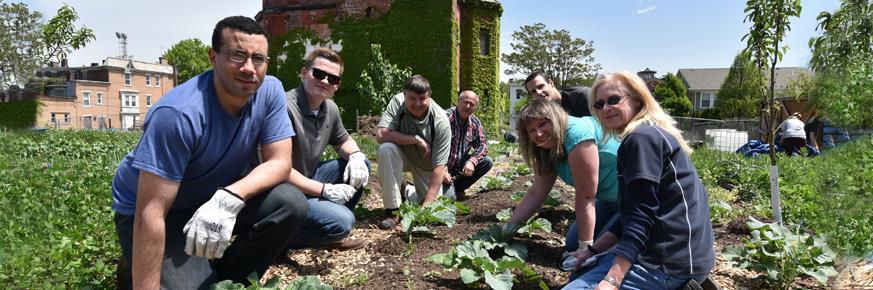 A group of volunteers planting seedlings