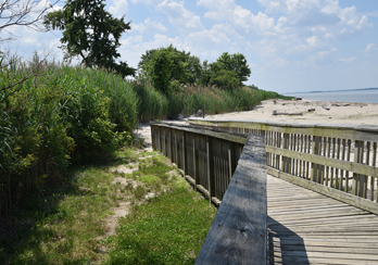 Walkway alongside a beach