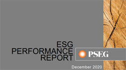 PSEG ESG Performance Report December 2020 cover is shown.