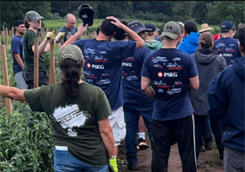 PSE&G volunteers help America’s Grow-a-Row combat food insecurity in NJ