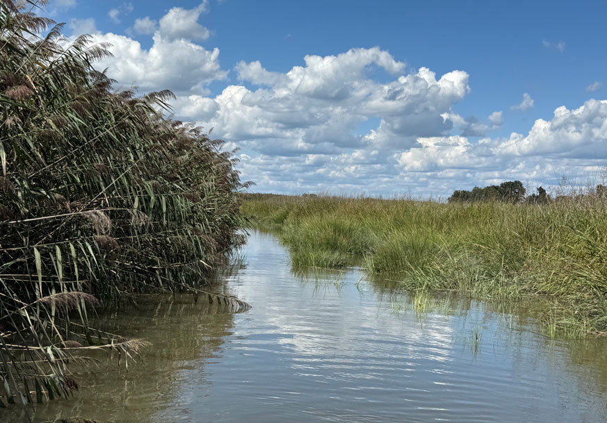 Allow Creek channel restoration boundary is shown.