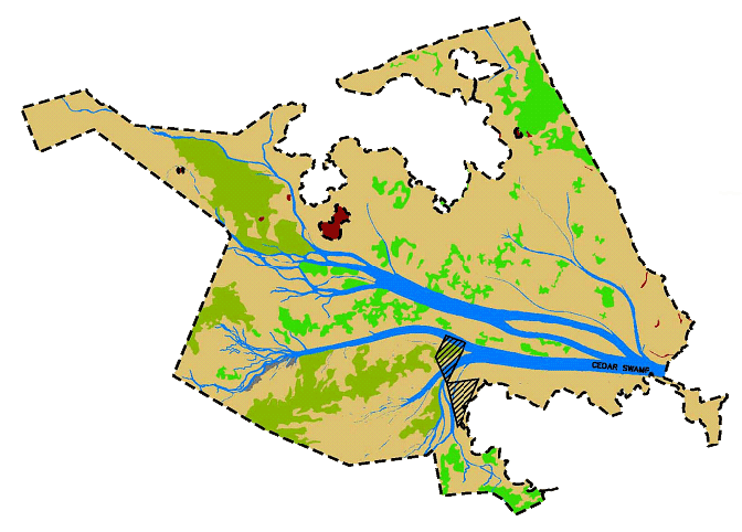 1993 vegetation map showing Phragmites dominating the Cedar Swamp Wetland Restoration Site before restoration.