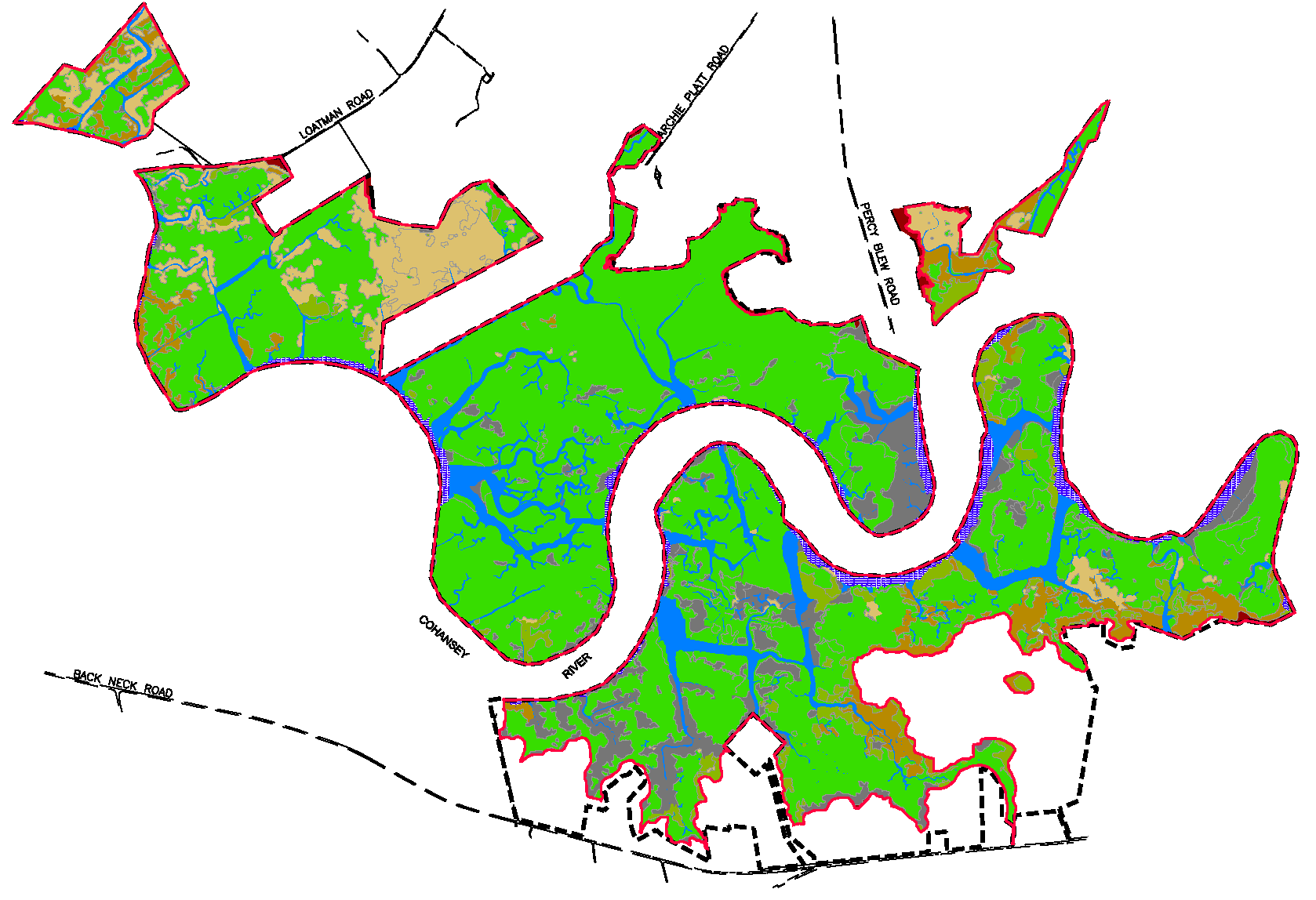 2024 vegetation map showing Spartina marsh vegetation dominating the Cohansey River Watershed Wetland Restoration Site after restoration.
