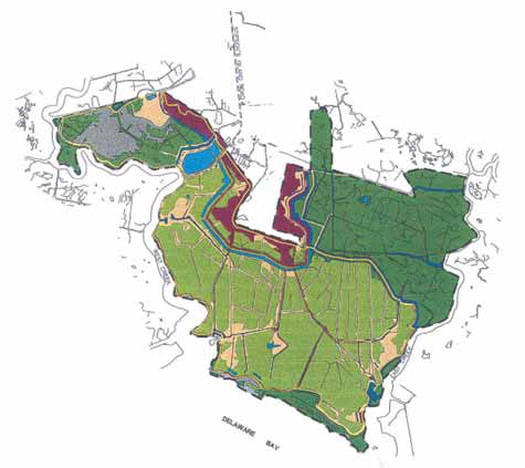 1995 vegetation map showing Spartina outside the salt hay farm area and limited marsh habitat within the diked portion of the Dennis Township restoration site.