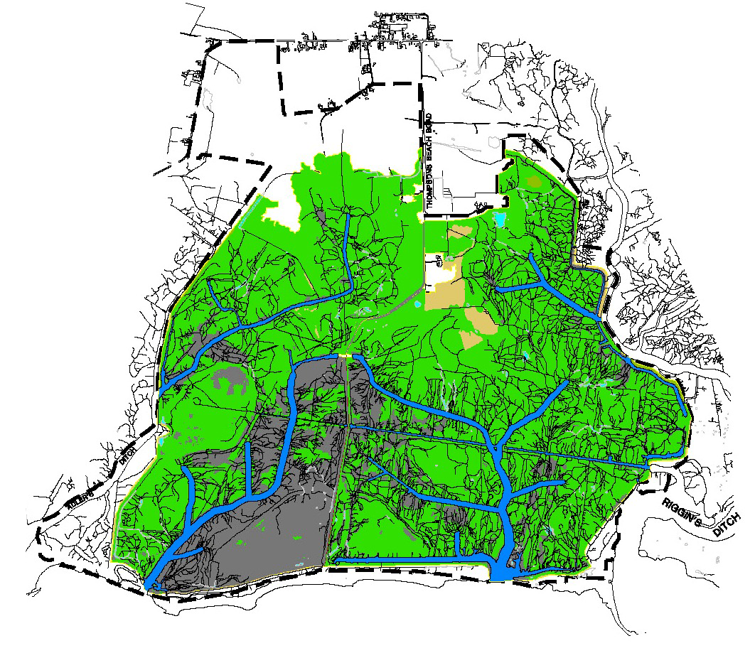 2004 vegetation map showing Spartina marsh vegetation covering much of the previously unvegetated marsh plain at the Maurice River Township restoration site.