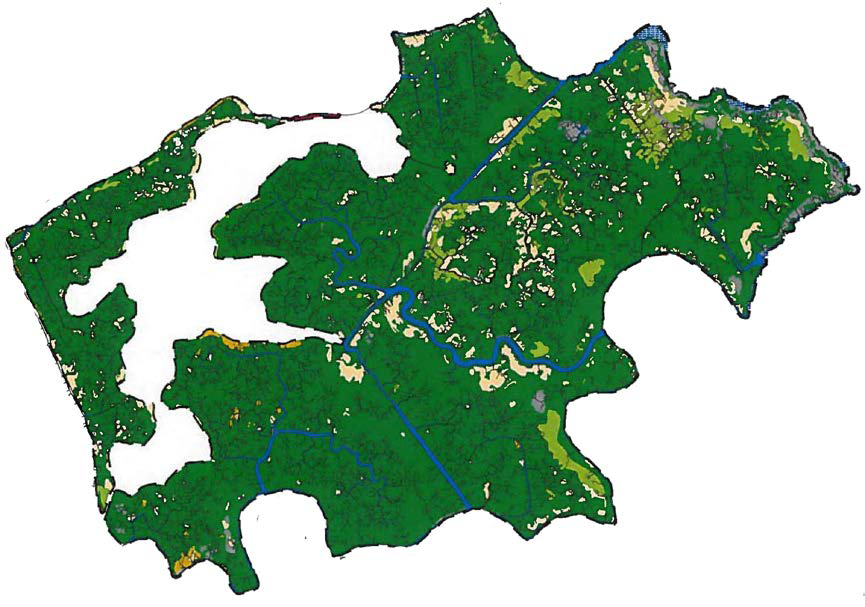 2016 vegetation map showing Spartina marsh vegetation dominating The Rocks Wetland Restoration Site after restoration.