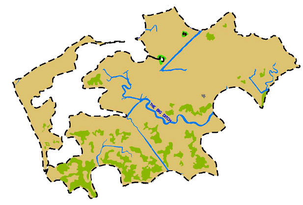 1993 vegetation map showing extensive Phragmites coverage at The Rocks Wetland Restoration Site before restoration.