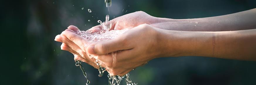 Hands cupping water.