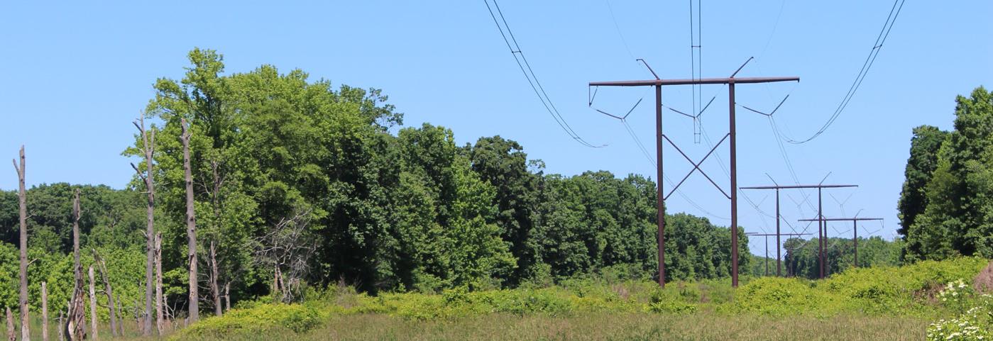 H-Frame transmission towers are shown along a right-of-way.