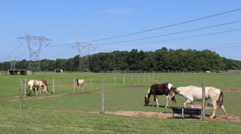 Show is a horse farm on an existing 500kV PSE&G line route in New Jersey.
