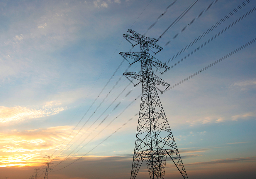 PSEG Corporate Home Page